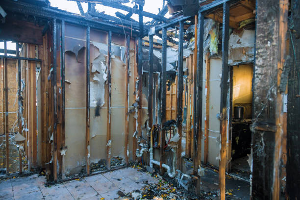 Professional Odor Removal technician working in Ellsworth, WI