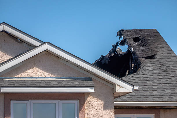 Top rated local Odor Removal specialists in Ellsworth, WI